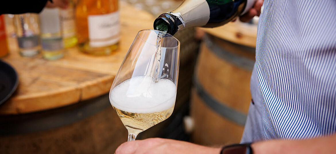 Weintasting im Weingarten sechsundzwanzig