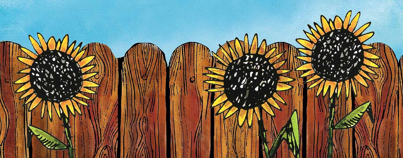 Der Räuber Hotzenplotz