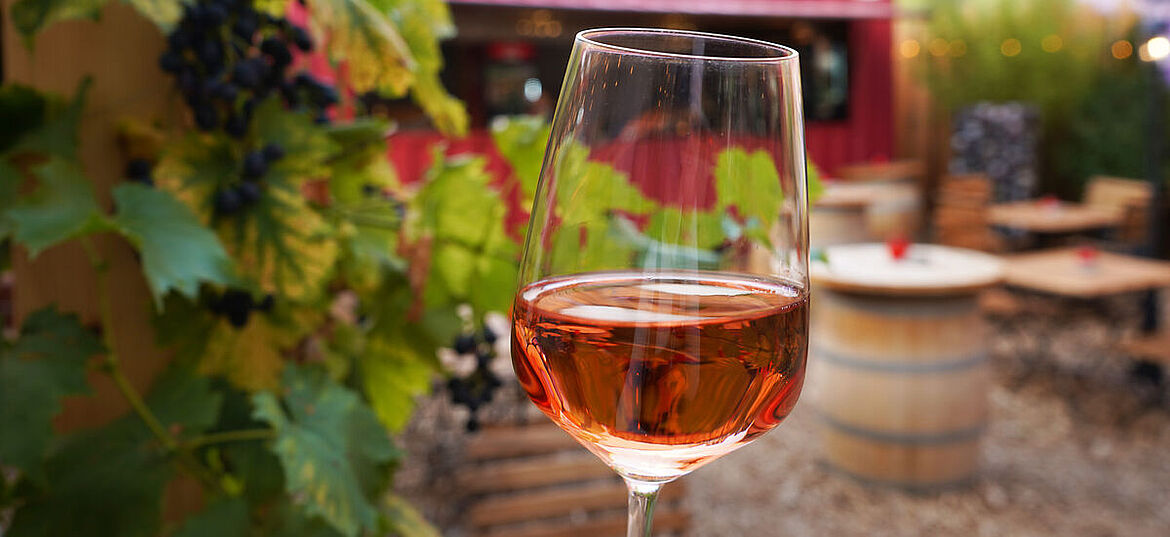 Weintasting im Weingarten sechsundzwanzig